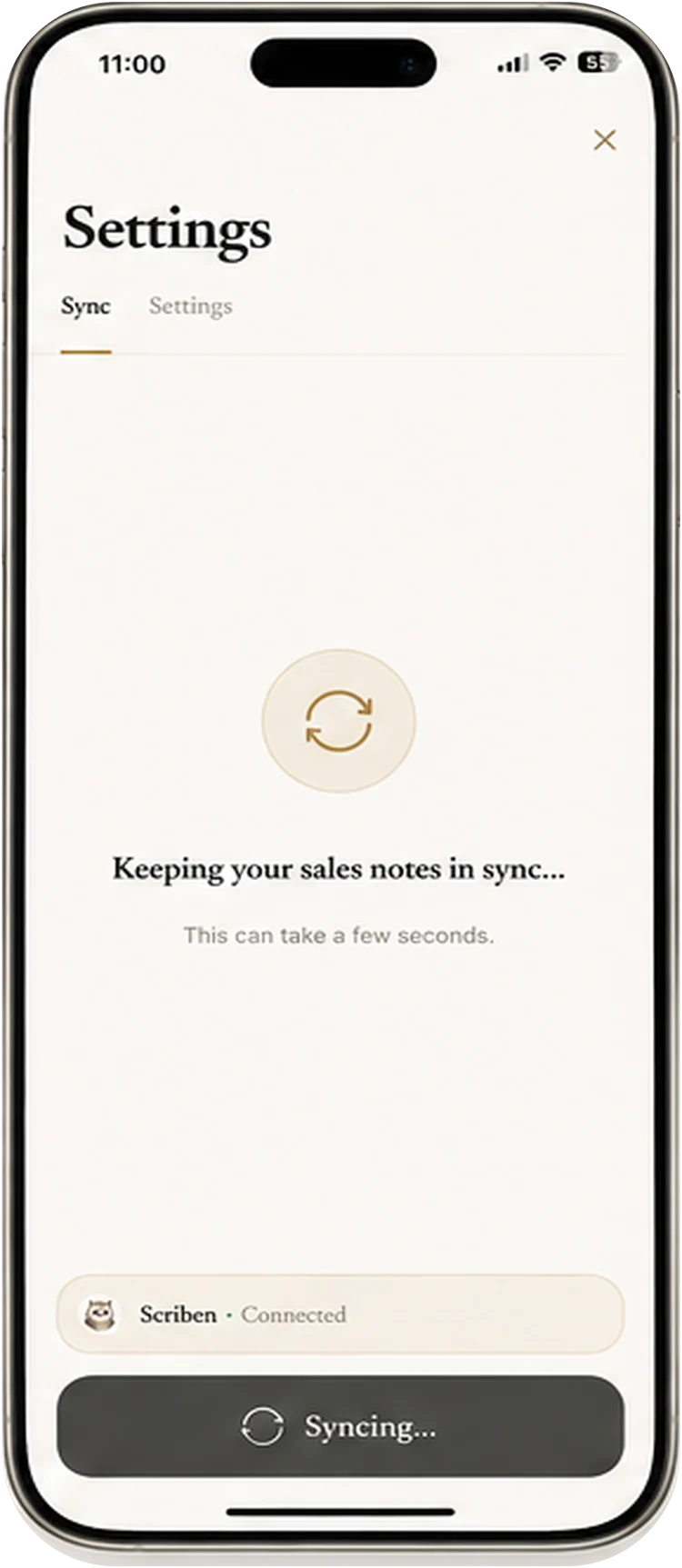 The pen in the Scriben app, for sales